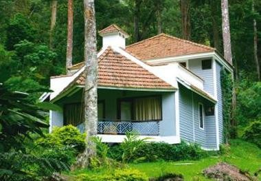 The Tall Trees Resorts